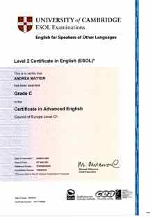 Certificate in Advanced English CAE.jpg